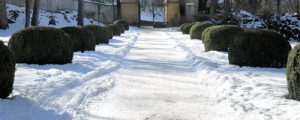 Protection hivernables des arbres et des plantes extérieures