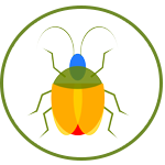 service de protection des plantes