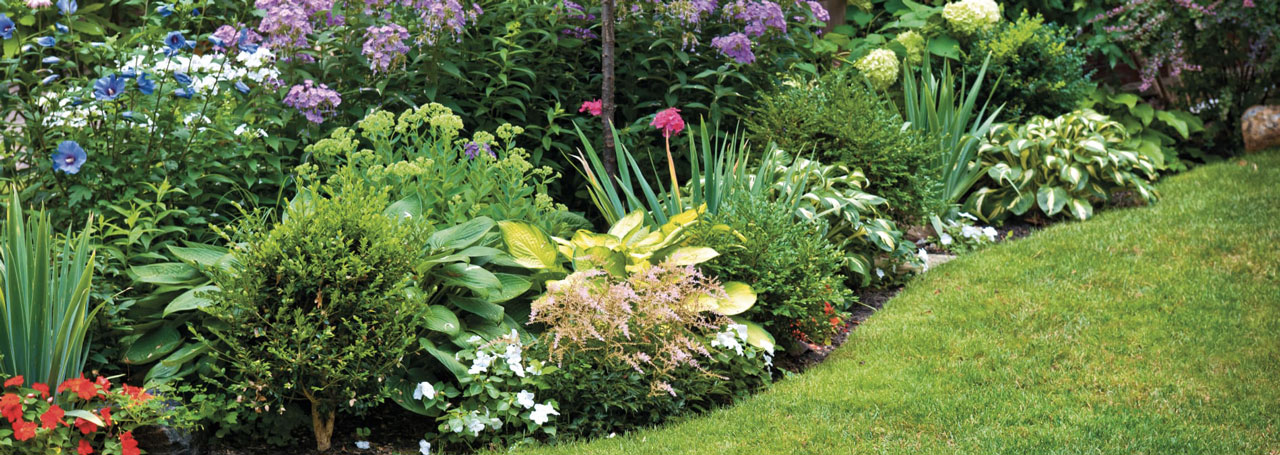 Entretien paysager de plantes Entretien des plates-bandes, fleurs, arbres et arbustes