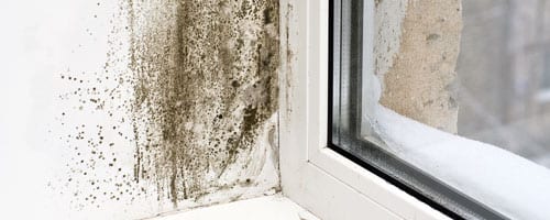 Aménagement de jardin Conception et réaliation d'aménagement de paysages verts